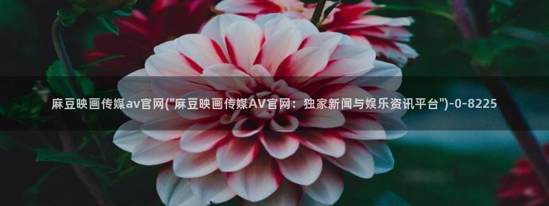 麻豆视频视频：麻豆映画传媒av官网(\