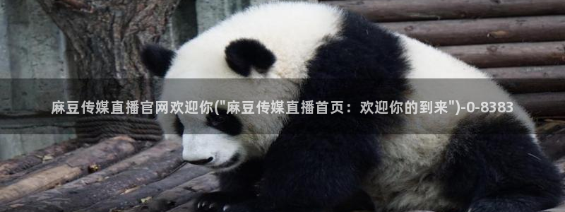 麻豆视频 精选更新：麻豆传媒直播官网欢迎你(\