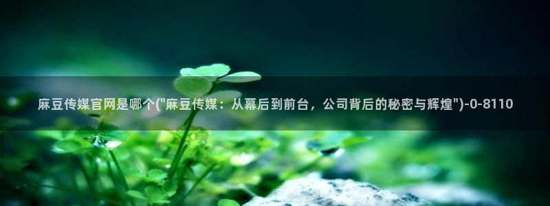 麻豆官方整理：麻豆传媒官网是哪个(\