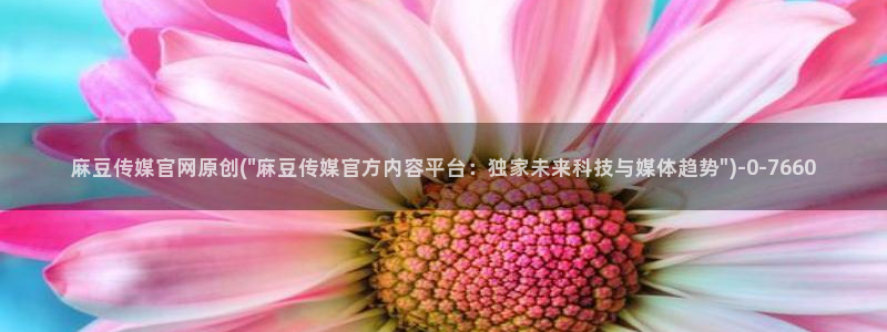 麻豆视频 短片更新：麻豆传媒官网原创(\