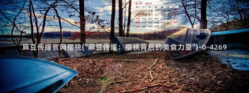 麻豆视频合集完整版：麻豆传媒官网樱桃(\