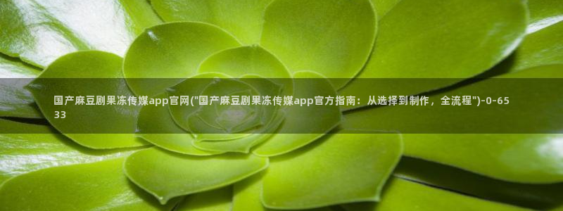 麻豆视频 精选整理：国产麻豆剧果冻传媒app官网(\