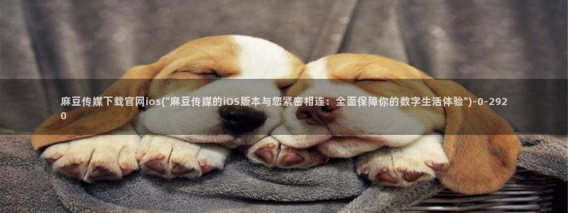 麻豆视频下载最新：麻豆传媒下载官网ios(\