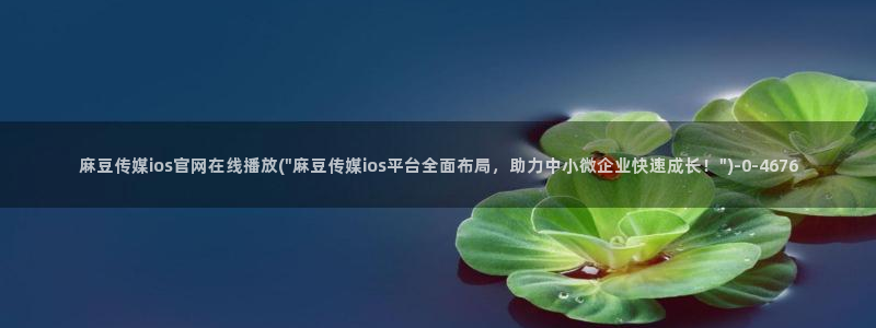 麻豆 在线看更新