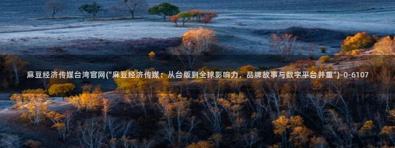 麻豆视频推荐专区：麻豆经济传媒台湾官网(\