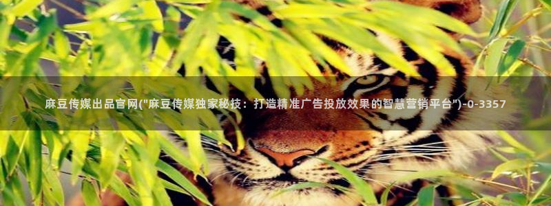麻豆专区：麻豆传媒出品官网(\