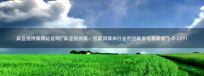 麻豆视频在线看页面