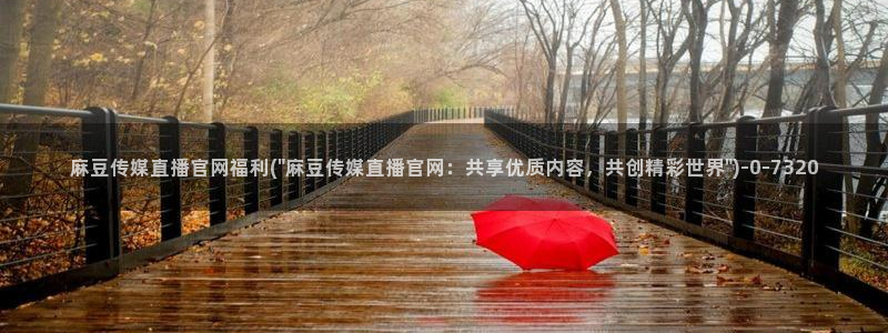 麻豆视频 内容资源