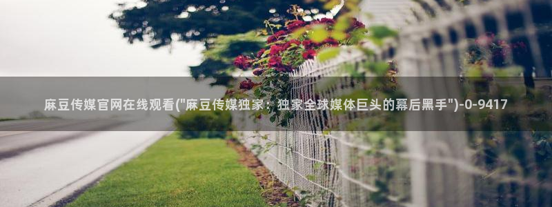 麻豆视频 最新完整版：麻豆传媒官网在线观看(\