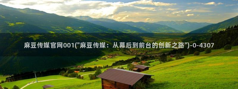 麻豆视频系列：麻豆传媒官网001(\