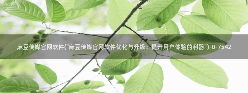 麻豆视频 完整版