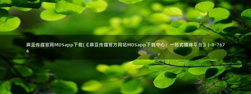 麻豆视频专区高清