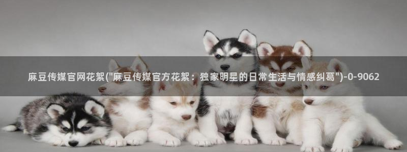 麻豆 合集资源：麻豆传媒官网花絮(\