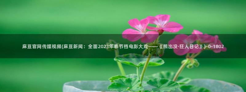 麻豆入口整理：麻豆官网传媒视频(麻豆新闻：全面2023年