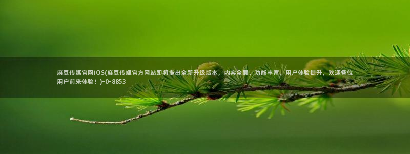 麻豆视频 最新专区
