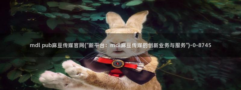 麻豆视频 高清专区：mdl pub麻豆传媒官网(\
