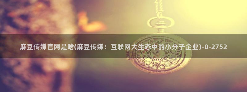 麻豆 最新页面