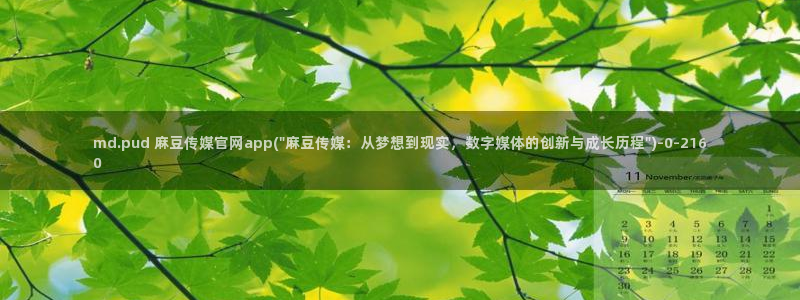 麻豆视频精选推荐