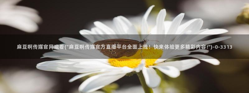 麻豆视频图集最新