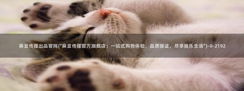麻豆视频 资源推荐：麻豆传媒出品官网(\