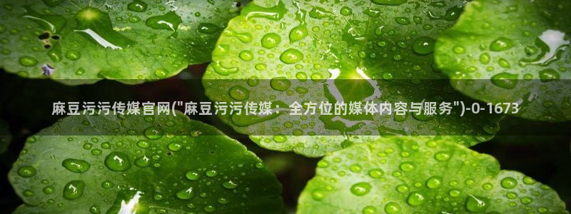 麻豆视频 资源入口：麻豆污污传媒官网(\